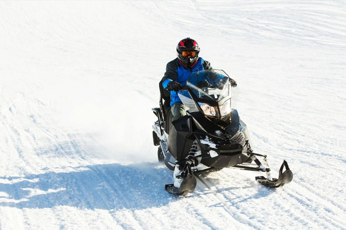 Policy’s Driving Records of Snowmobile and Vehicle - PAIB Insurance