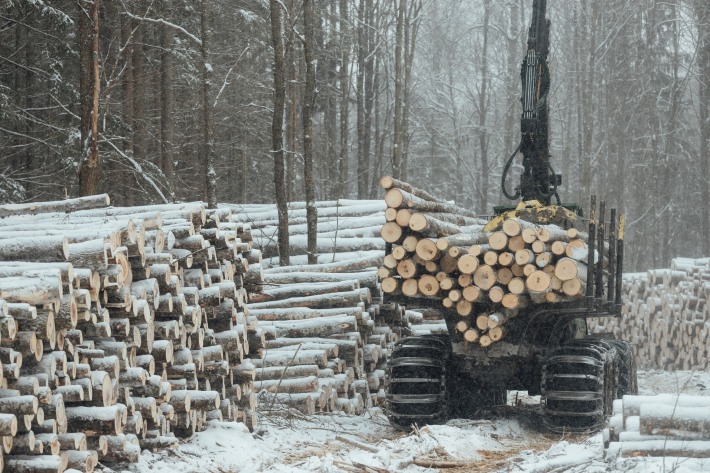 Risks Every Logging Business in North Bay - PAIB Insurance