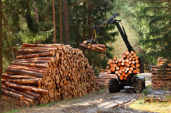 Logging Business Insurance - PAIB Insurance